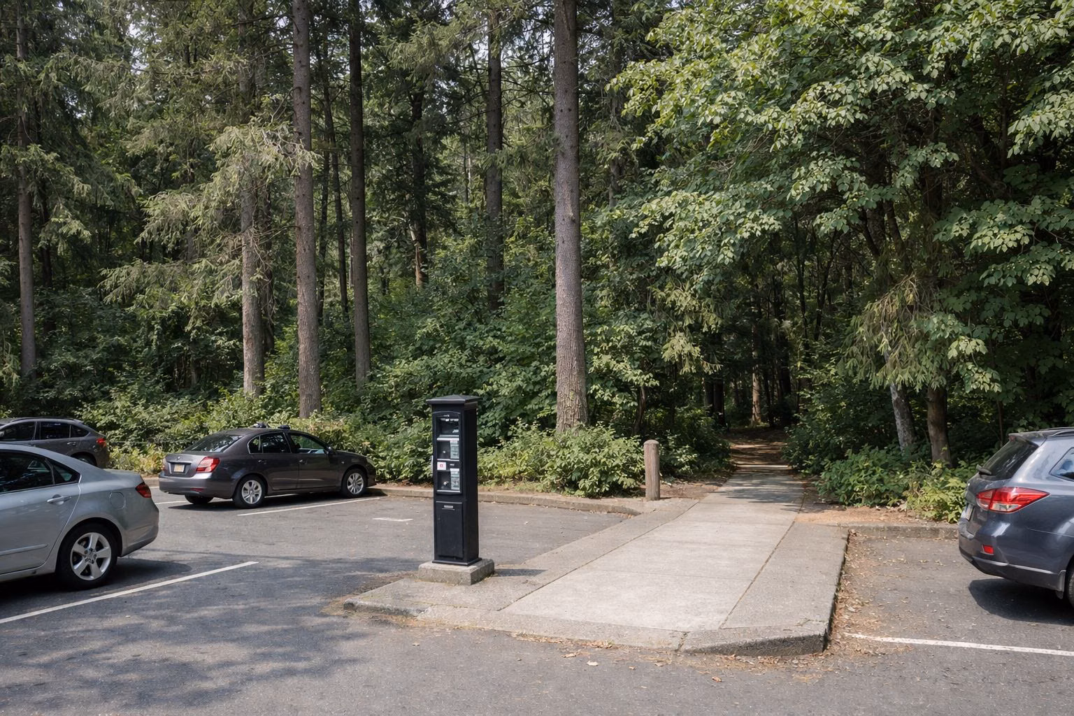 A small paved park parking lot edged by tall Douglas-firs, a few parked cars, a pay meter post, a sidewalk leading into the trees